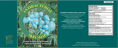 Entiere Anibacterial Skin Soap.jpg image description - Entiere Anibacterial Skin Soap